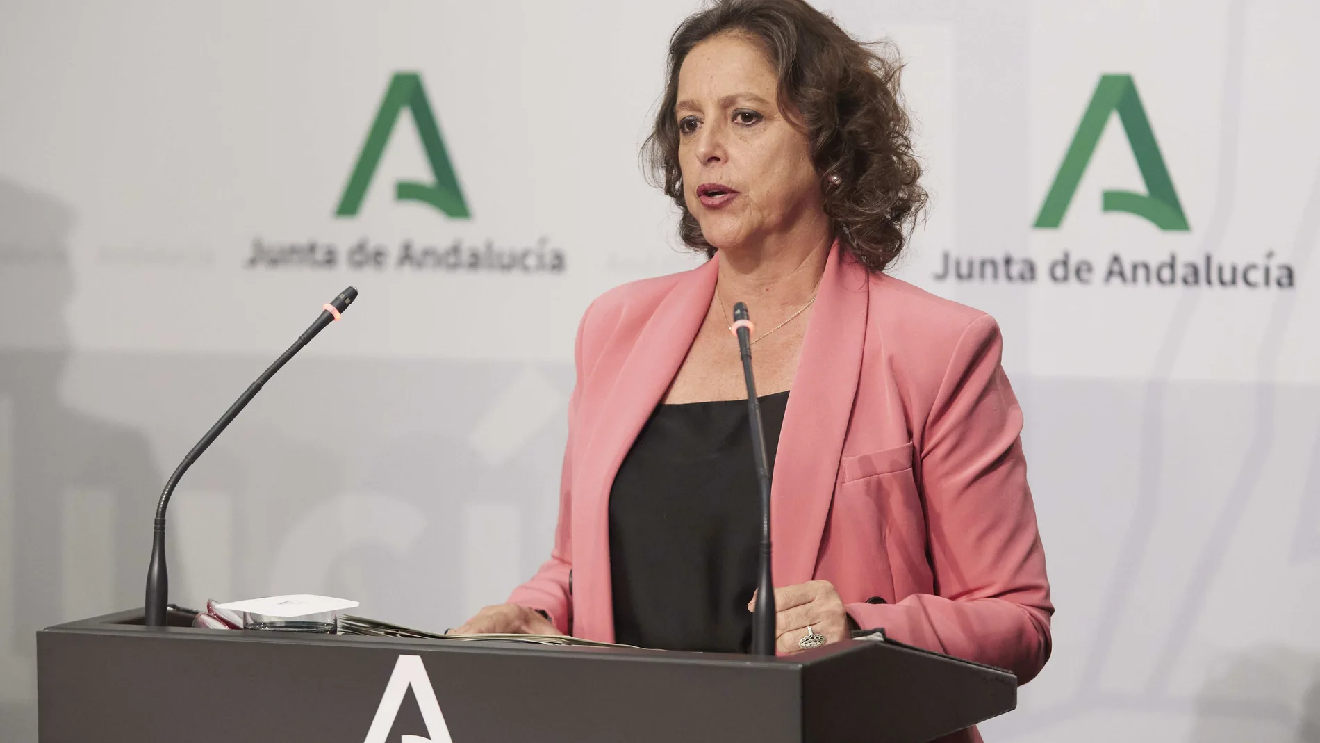 La consejera de Salud de Andalucía, Catalina García