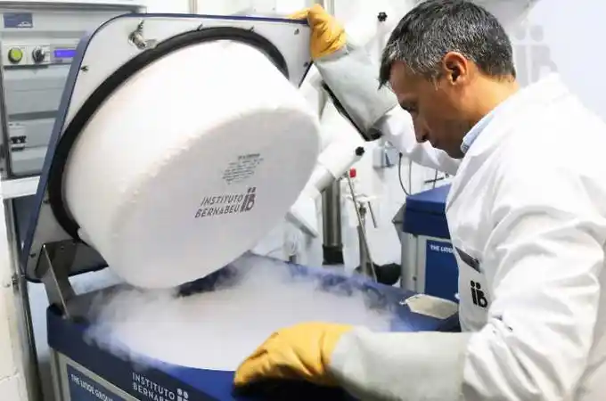 España conserva más de 60.000 embriones congelados abandonados que no se pueden destruir