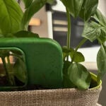 Crean fundas para iPhone que puedes plantar para que germinen margaritas, nomeolvides y albahaca.
