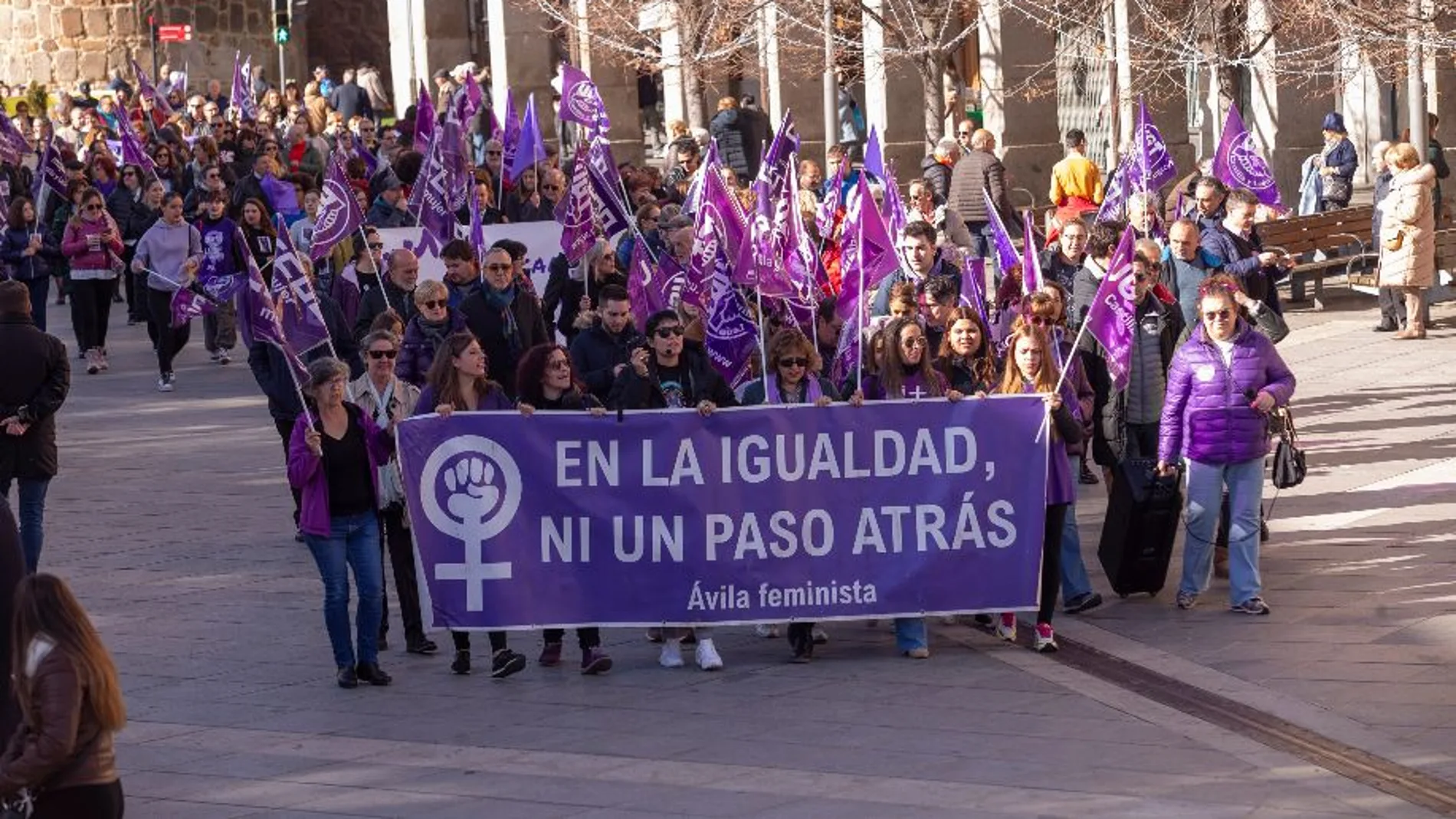 Manifestación de Ávila