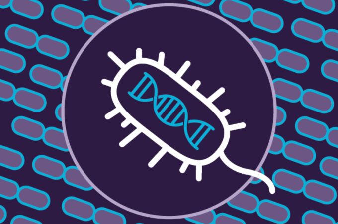 El análisis de millones de genomas ha permitido descubrir nuevos tipos de CRISPR.
