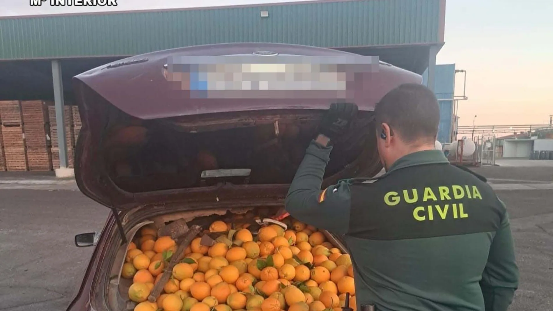 Naranjas intervenidas en las operaciones desplegadas desde octubre