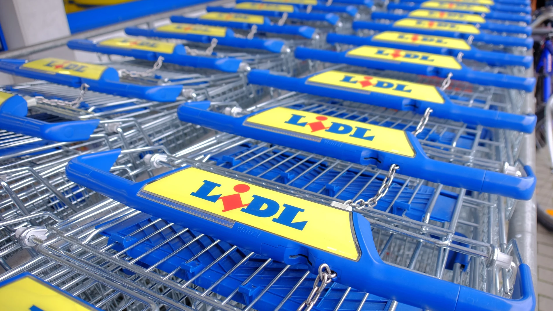 Carritos de compras Lidl