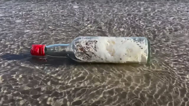 Misteriosas «botellas de brujas» aparecen en las costas del Golfo de México