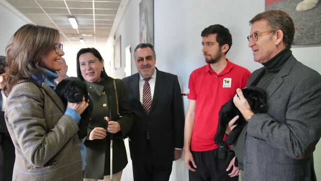 El líder del PP, Alberto Núñez Feijóo y Carmen Fúnez con perros guía de la Fundación Once.