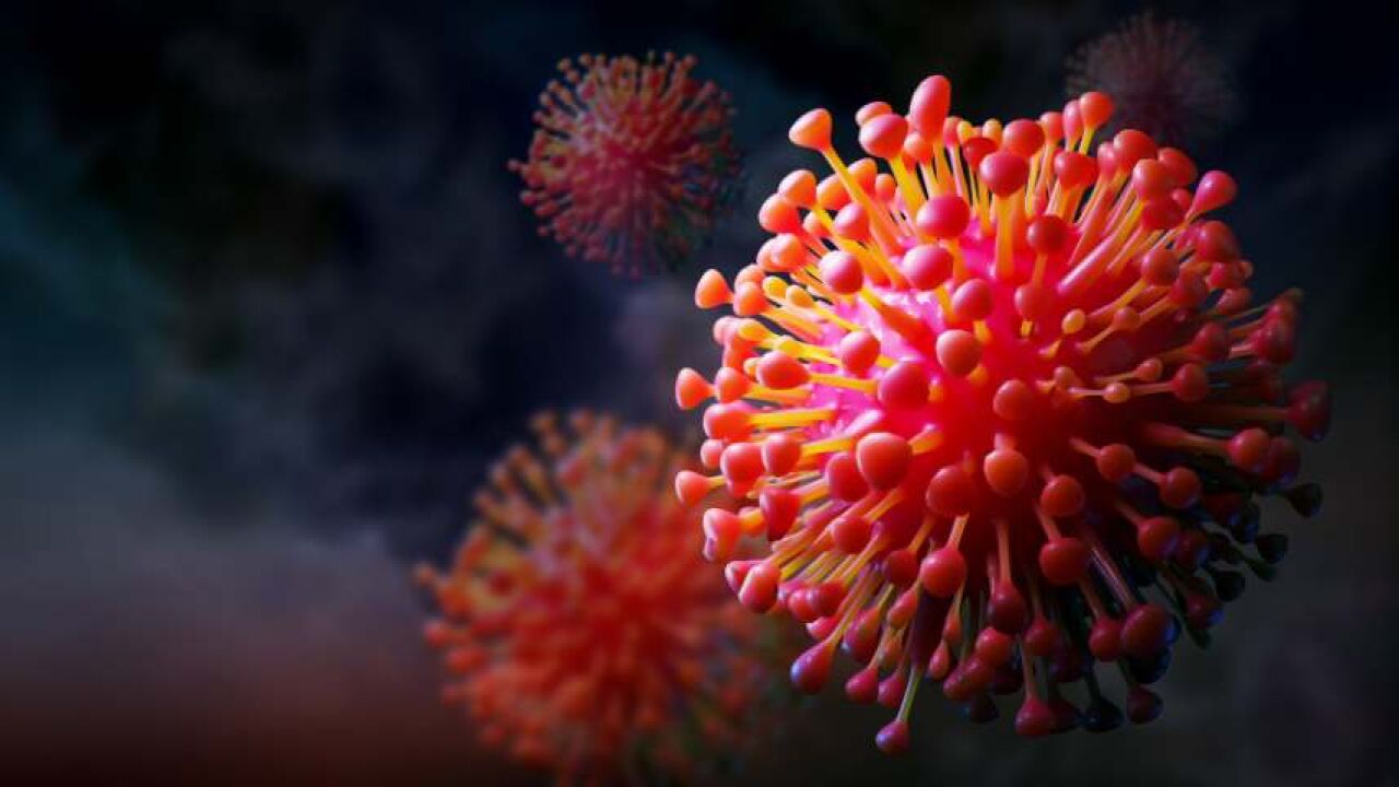 ¿Cuál es el plural de la palabra "virus"? La RAE aclara la respuesta