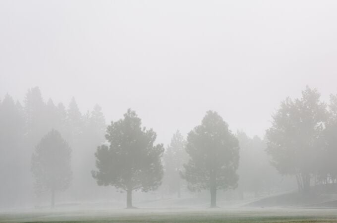 ¿Qué es la niebla y cuáles son sus tipos?