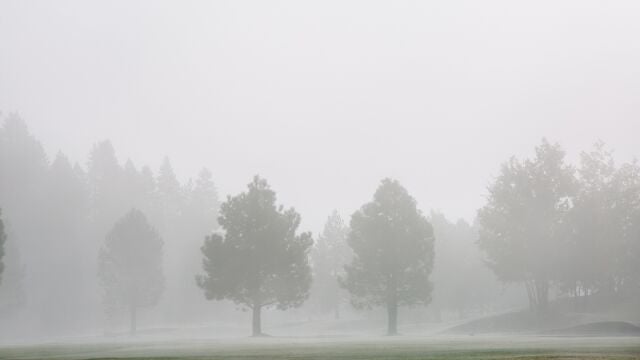 ¿Qué es la niebla y cuáles son sus tipos?