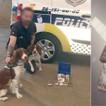 El olfato de un perro policía permite desarticular un punto de venta de drogas