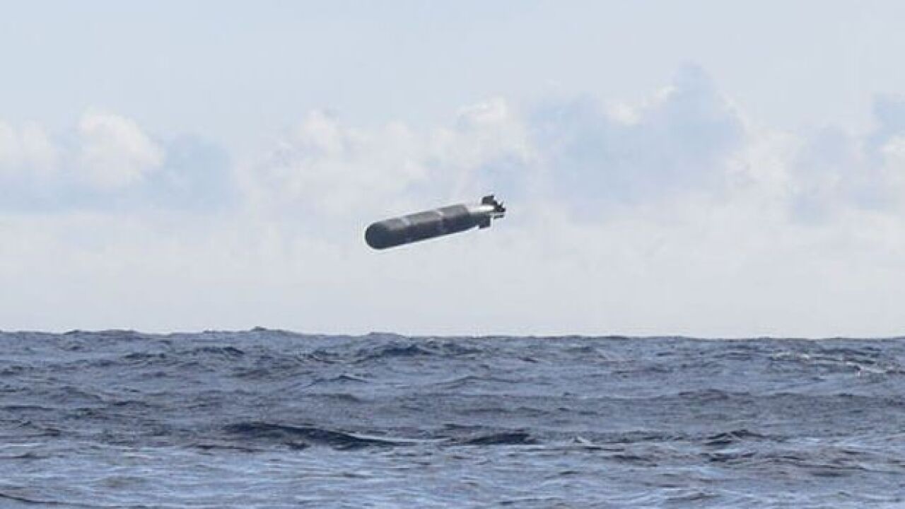 Así son los torpedos 