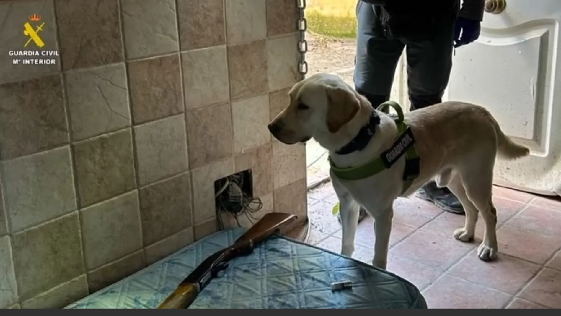 La Guardia Civil contó con el apoyo de perros especializados