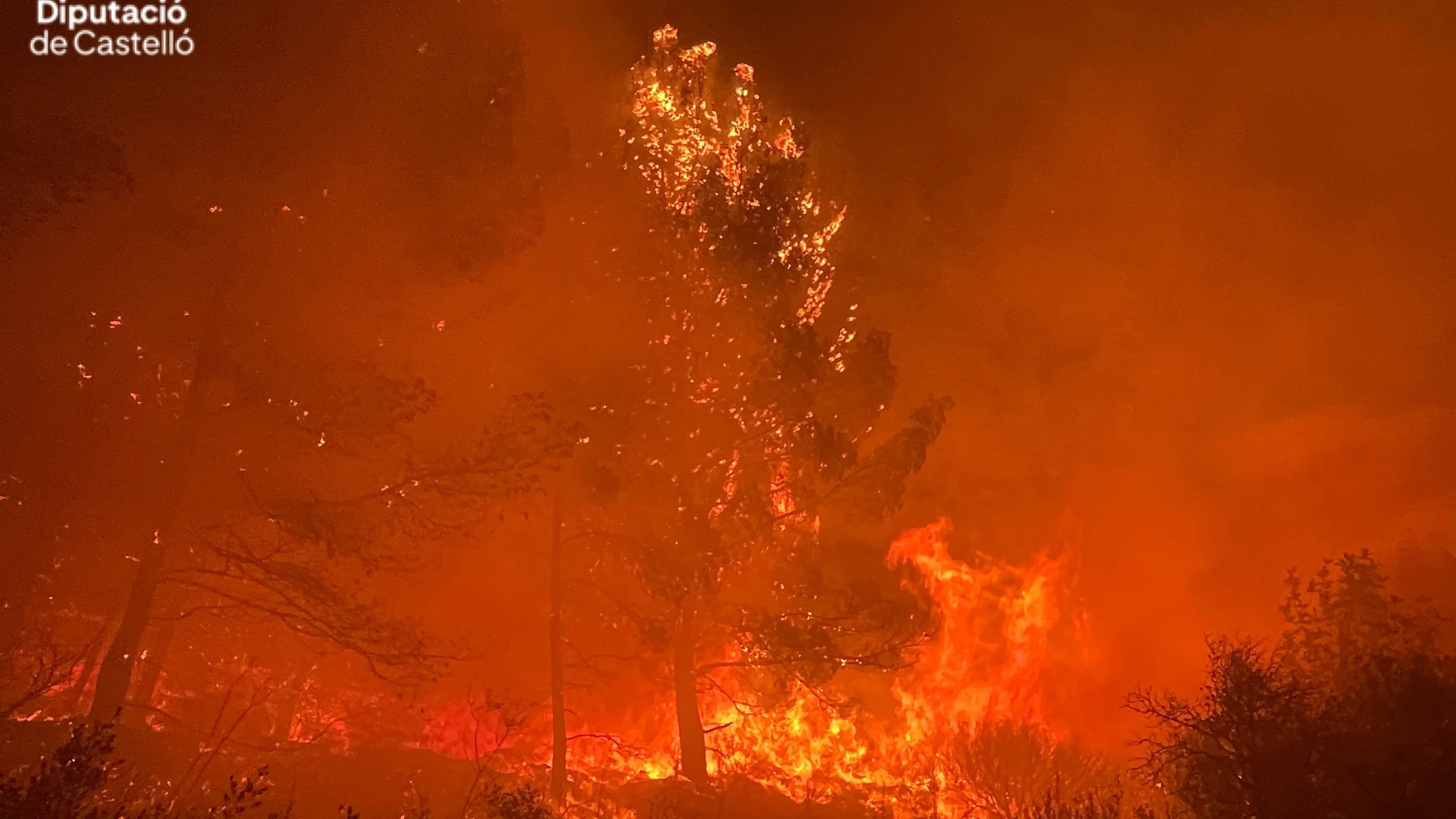 Incendio forestal en Les Useres (Castellón) CONSORCIO BOMBEROS CASTELLÓN 14/12/2023