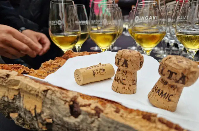 El 96% de los vinos españoles mejor valorados están tapados con corcho