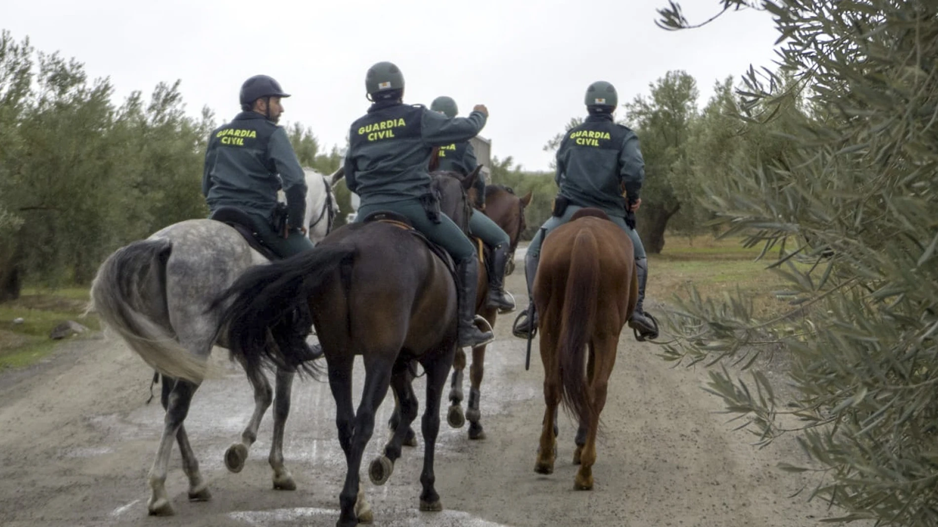 Escuadrón de caballería de la Guardia Civil