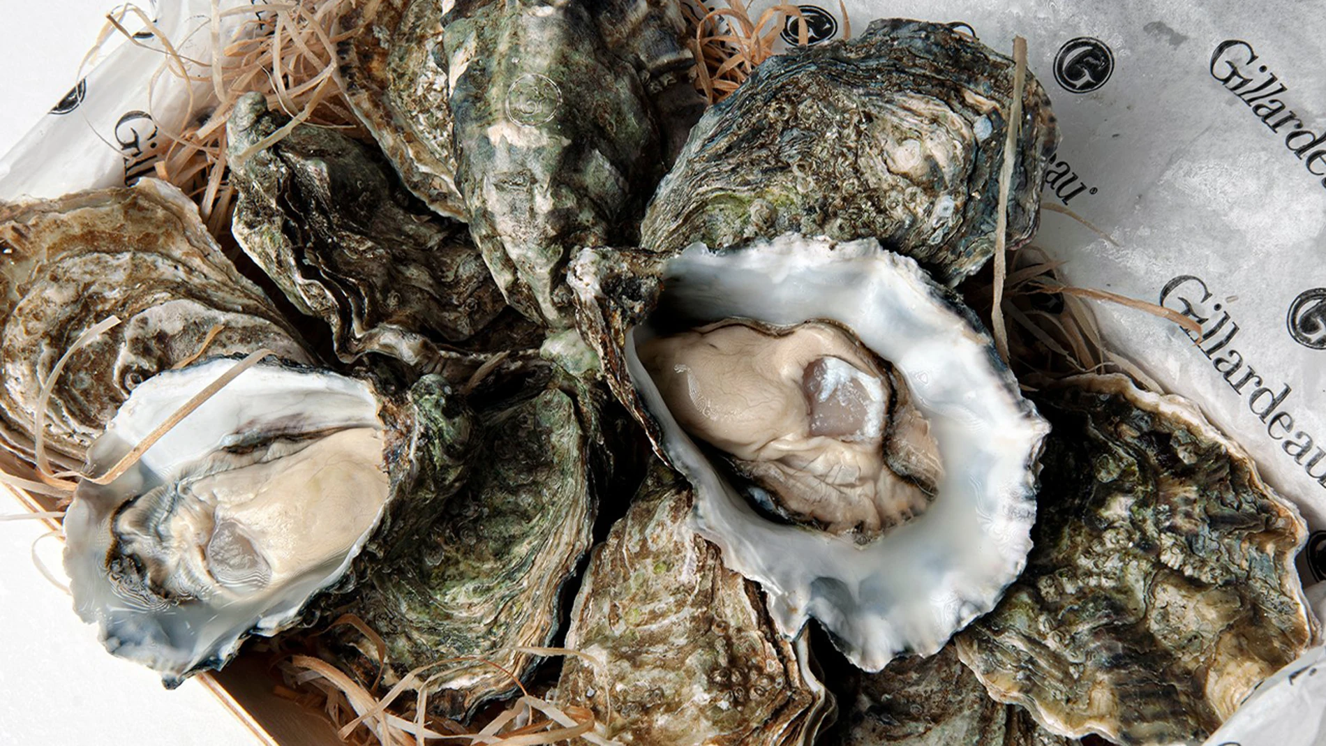 La ostra Guillardeau está considerada la mejor del mundo