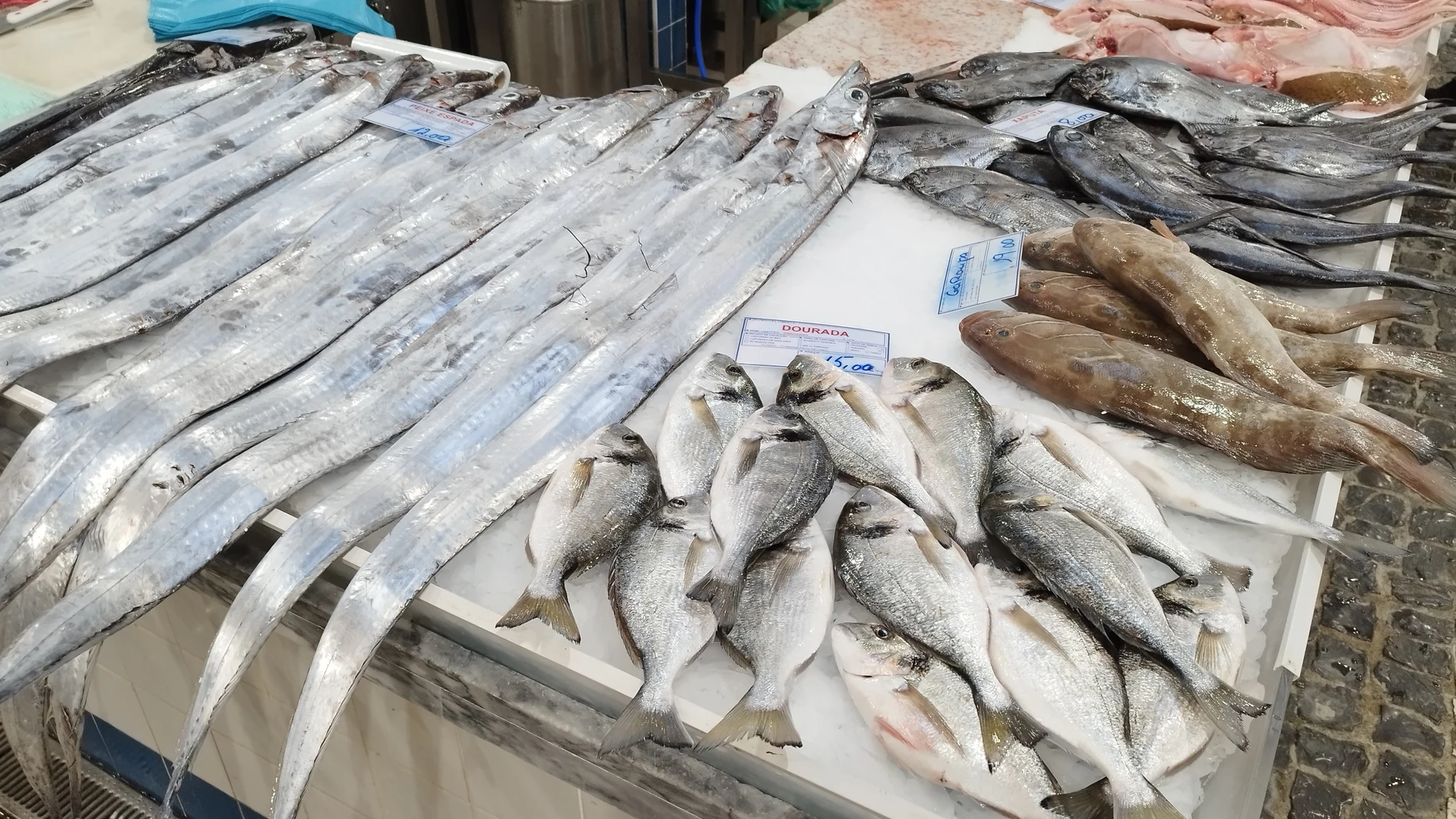 La frescura, variedad y calidad del pescado expuesto para su venta es asombrosa