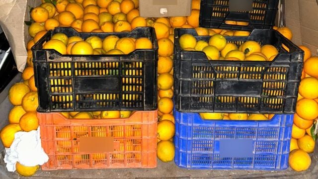 Naranjas incautadas en Córdoba