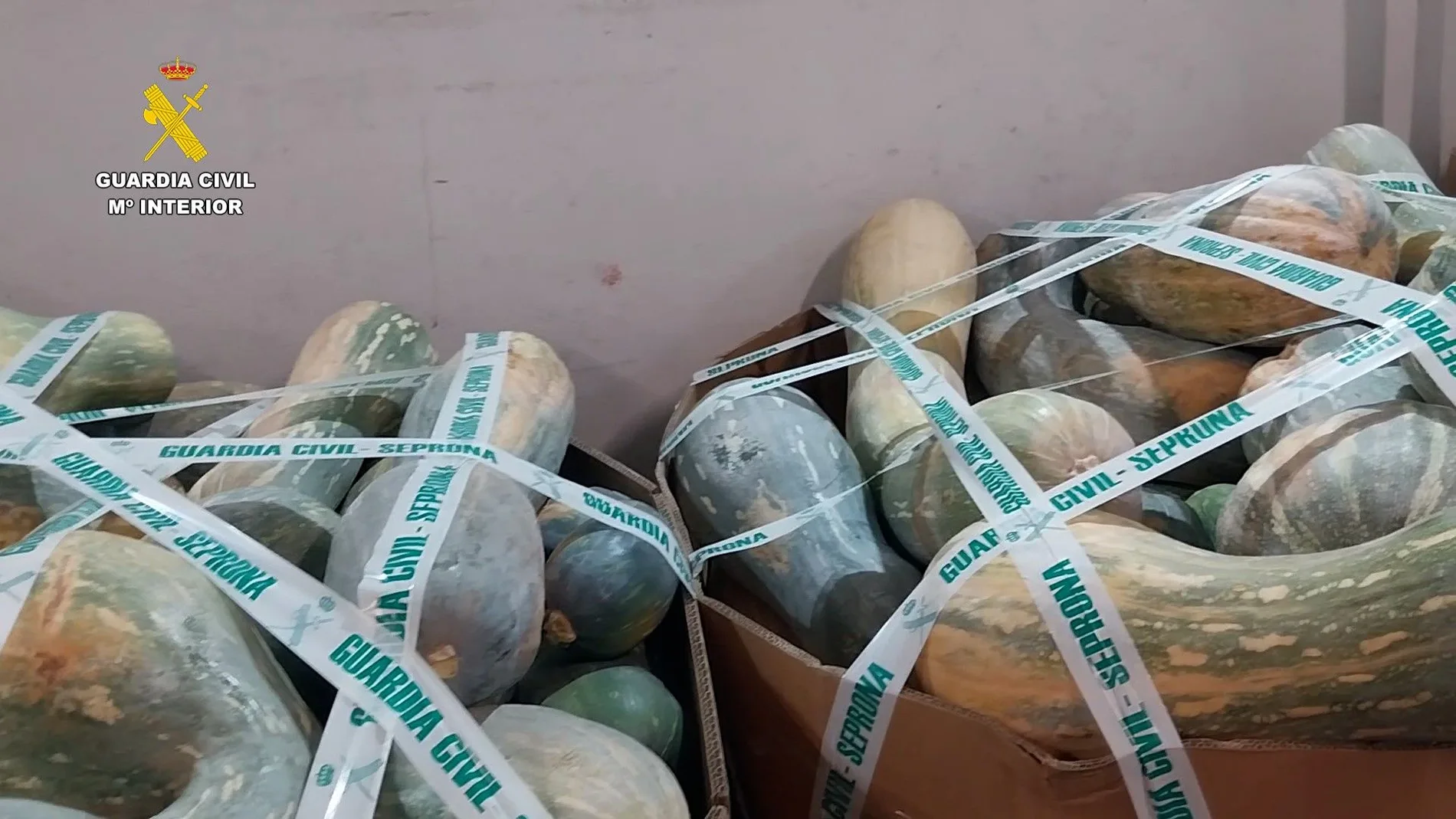 La Guardia Civil retira del mercado 10 toneladas de fruta comercializada de forma ilegal