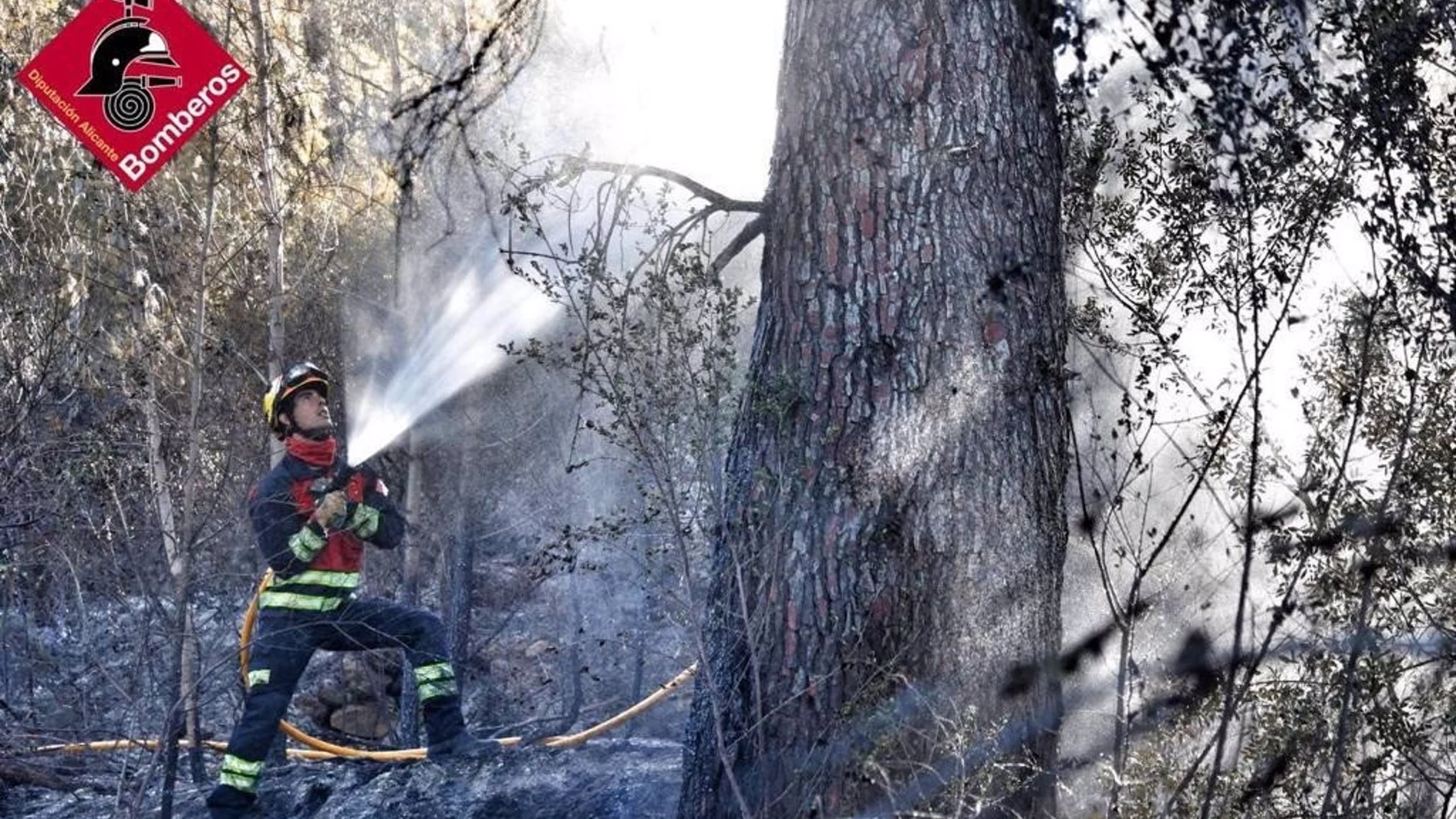  Un bombero en un incendio forestal, en una imagen de archivo