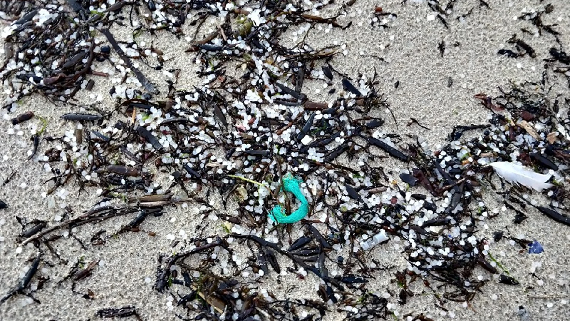 Los ecologistas alertan del riesgo para la costa gallega de la llegada de millones de pellets de plástico