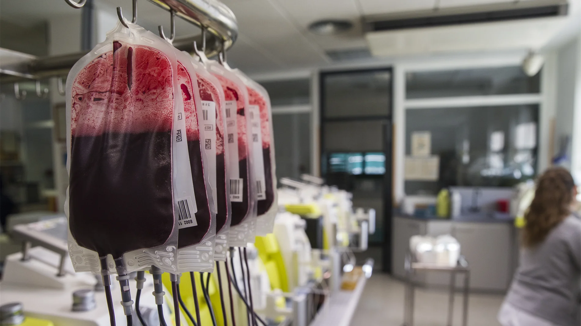 MADRID.-La Comunidad activa el carnet de donante de sangre en la Tarjeta Sanitaria Virtual