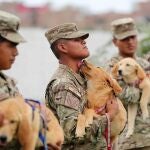 Los perros que salvarán víctimas de un terremoto e inundaciones en Perú