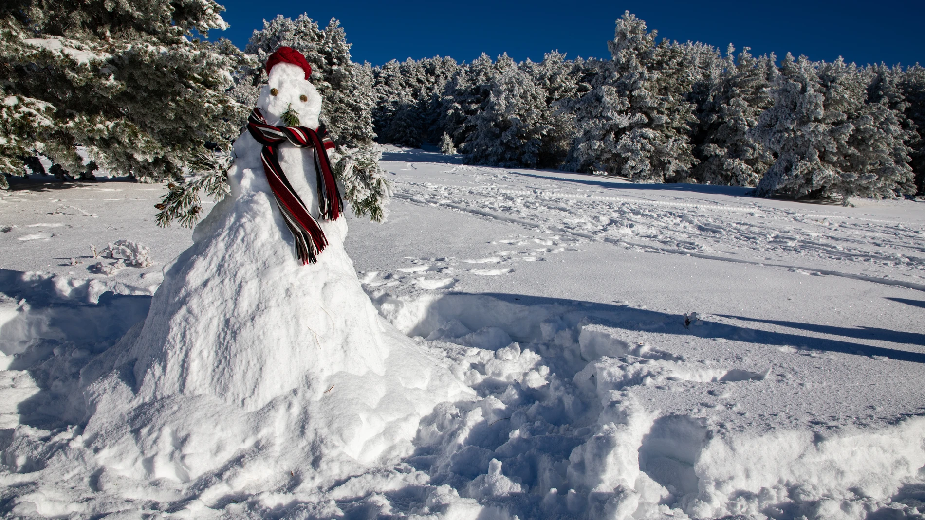 Nieve en la sierra de Madrid