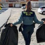 MURCIA.-Sucesos.- La Guardia Civil interviene 400 plantas de marihuana en una vivienda de Villanueva y detiene a su morador