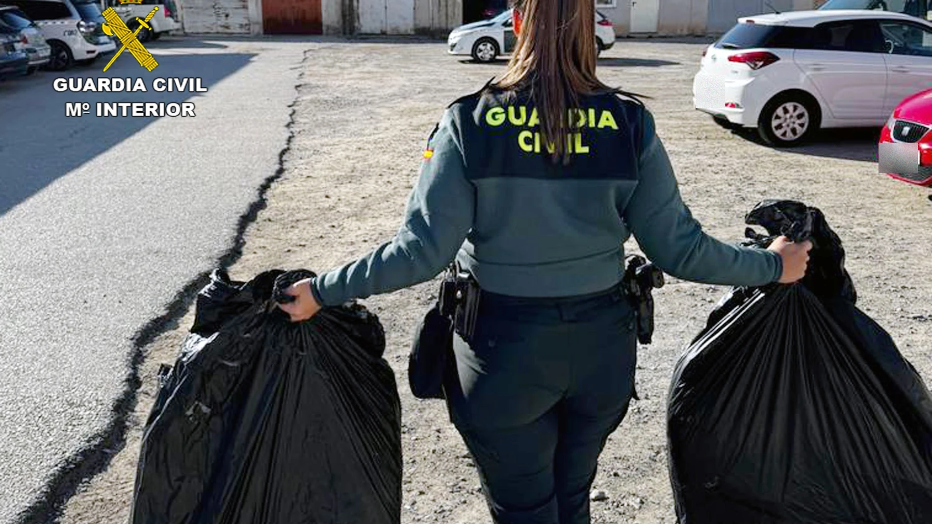 MURCIA.-Sucesos.- La Guardia Civil interviene 400 plantas de marihuana en una vivienda de Villanueva y detiene a su morador