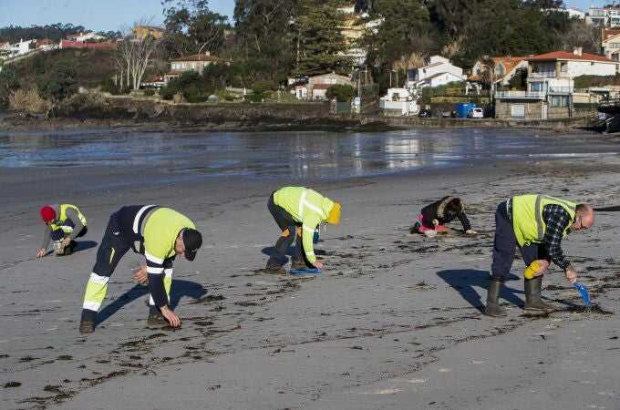 Día soleado para la recogida de 'pellets' de plástico en la Playa de A Madorra en Nigrán, los empleados de Tragsa retiran las diminutas bolitas de plástico caídas de un barco en diciembre en las costas de Portugal. 