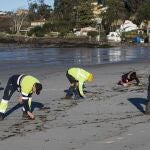 Día soleado para la recogida de 'pellets' de plástico en la Playa de A Madorra en Nigrán, los empleados de Tragsa retiran las diminutas bolitas de plástico caídas de un barco en diciembre en las costas de Portugal. 