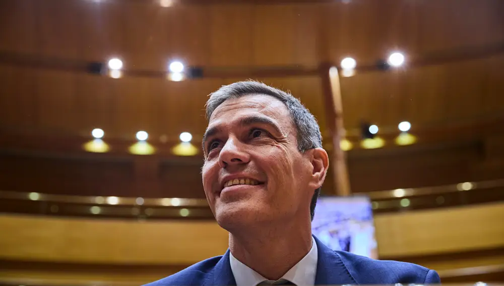 Pedro Sánchez 