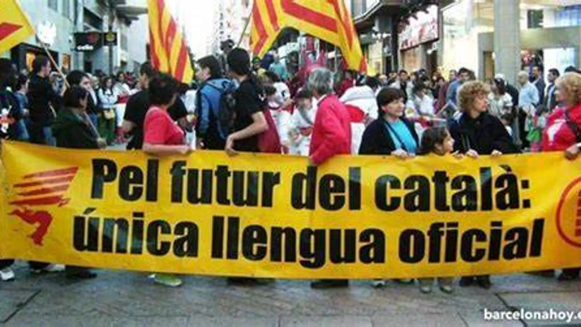 Manifestación de la entidad independentista Plataforma per la Llengua