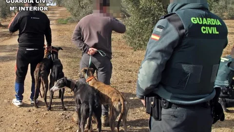 Un momento de la operación