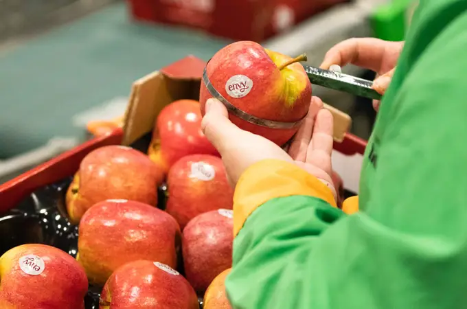 Así se cultivan las manzanas con mayor gusto y calidad de España y Portugal