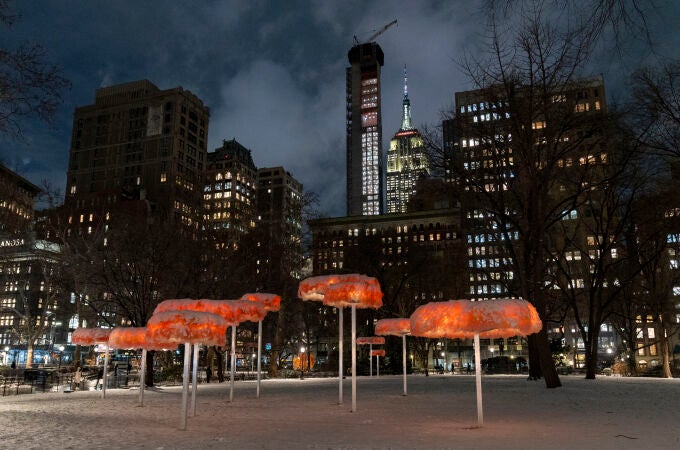 La artista argentina Ana Hernando decora con nubes de tul un parque de Nueva York