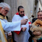 Celebración de San Antón, el patrón de los animales