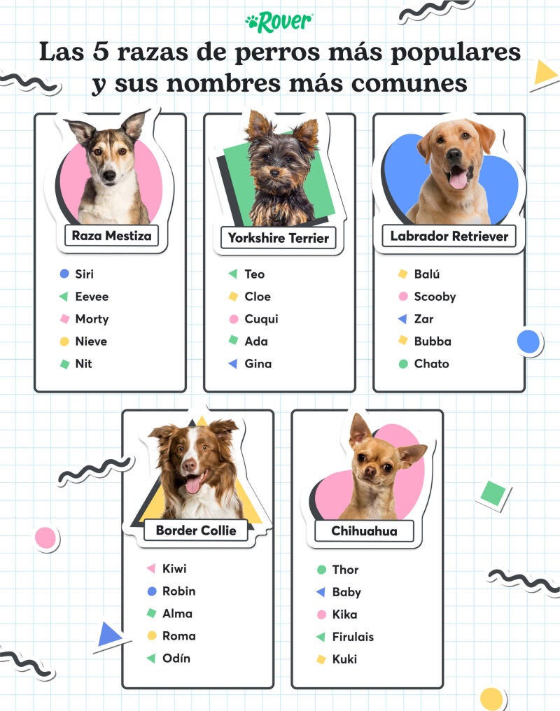 Nombre de perros por razas