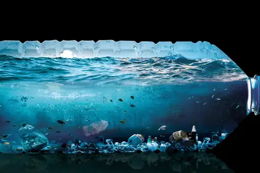 Cada 1% de producción de plástico aumenta en un 1% la contaminación ambiental