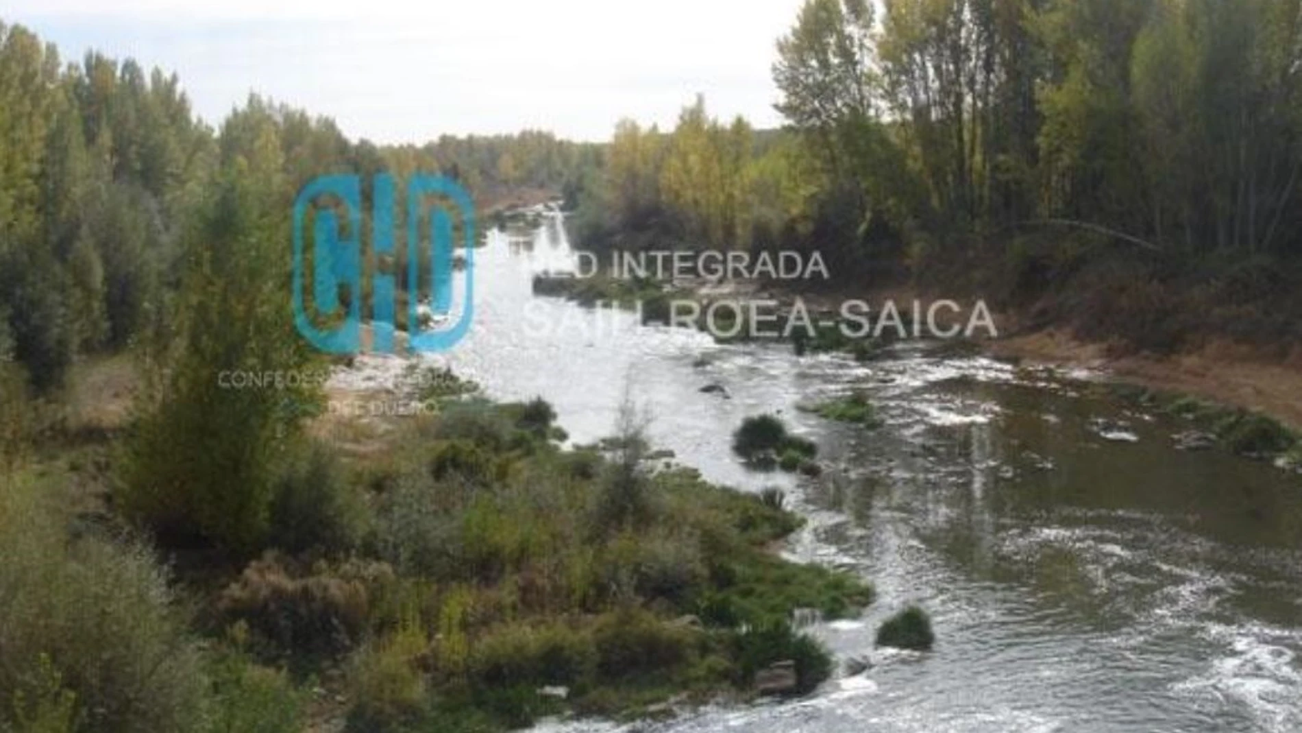 Crecida de un río de la cuenca del Duero. CHD 18/01/2024