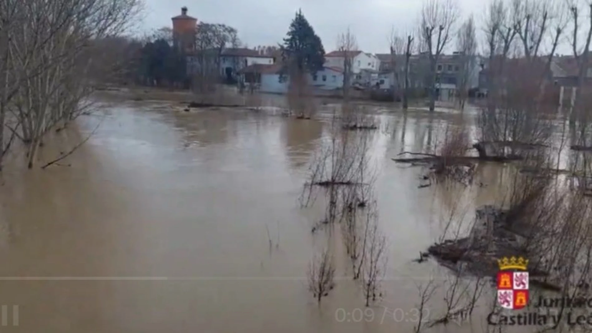 Crecida del río Cega en Valladolid e inundación de Viana JCYL 21/01/2024