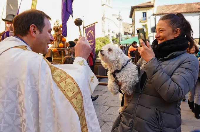 San Antón congrega en León a cientos a animales para recibir la tradicional bendición