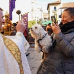 Bendición de animales en León con motivo de la festividad de San Antón