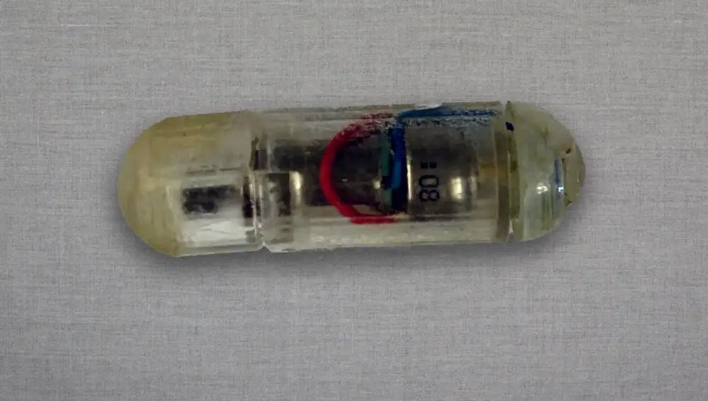 Así es la pastilla Vibes desarrollada por el MIT