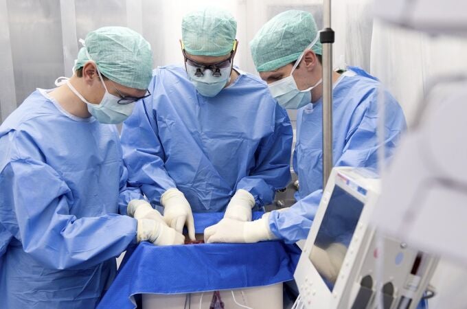 En 2023 se alcanzaron los mejores datos de la historia en materia de trasplantes