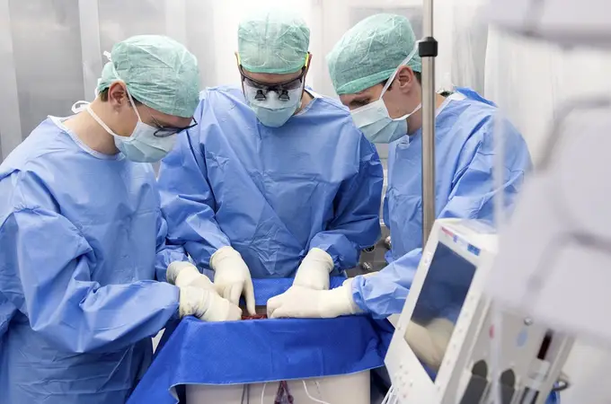 El 71% de los donantes de órganos llegó desde urgencias 