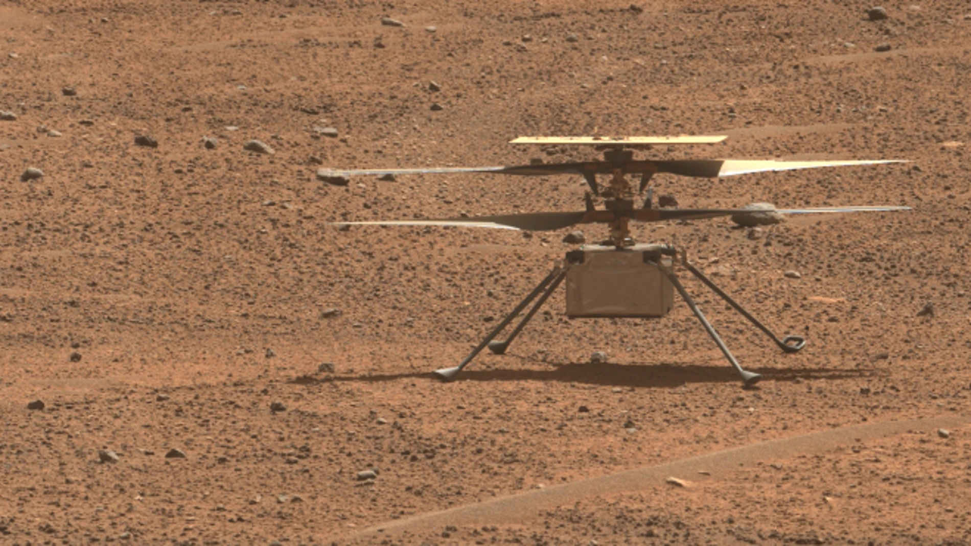 Ingenuity en una imagen tomada desde el rover Perseverance el 2 de agosto de 2023.