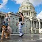 Unas mujeres pasean un perro frente al Capitolio, en la capital estadounidense