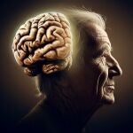 Importante deterioro cerebral en personas con Covid persistente: "Es como si envejecieran 50 años"