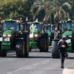 Miles de agricultores onubenses se manifiestan en Sevilla pidiendo infraestructuras